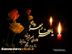 بانوی بی نشان