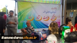 المپیاد ورزشی زنجان