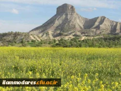 کوه قلاقیران ایلام