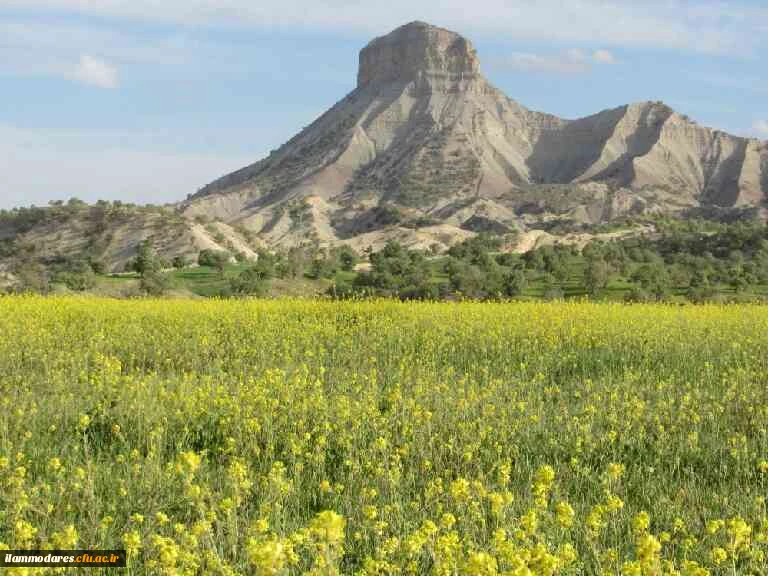 کوه قلاقیران ایلام