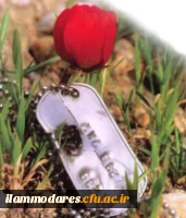 بسم رب الشهدا و الصدیقین