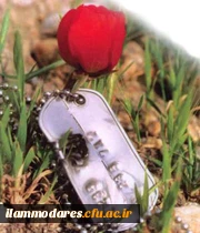 بسم رب الشهدا و الصدیقین