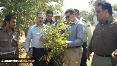 حضور دانشجو معلمان پردیس شهید مدرس ایلام در فعالیت زیست محیطی دفع آفت لورانتوس