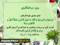 ازدرخت کم خاطره نداریم 2