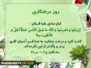 ازدرخت کم خاطره نداریم