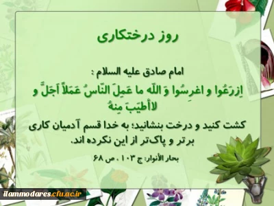ازدرخت کم خاطره نداریم