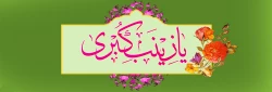 ولادت حضرت زینب کبری (سلام الله علیها  )مبارکباد 3