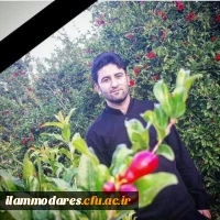 انالله و انا الیه الراجعون 2