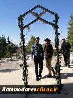 گزارش لحظه ای ثبت نام دانشجو معلمان جدیدالورود سال 1398 2