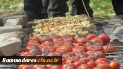 برگزاری اردوی فرهنگی در منطقه ی تفریحی خوران ایوان 3