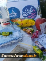 توزیع بسته های غذایی و بهداشتی در بین خانواده های بی بضاعت توسط کانون های مهدویت دانشگاه فرهنگیان ایلام 5