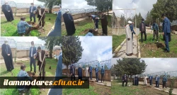 کاشت نهال با نامگذاری  شهدای گرانقدر دانشجو معلم دانشگاه 2