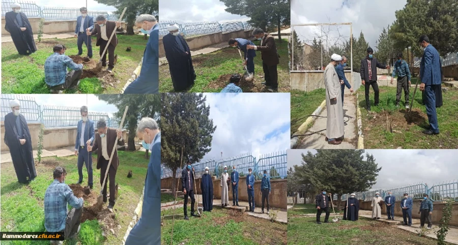 کاشت نهال با نامگذاری  شهدای گرانقدر دانشجو معلم دانشگاه 2