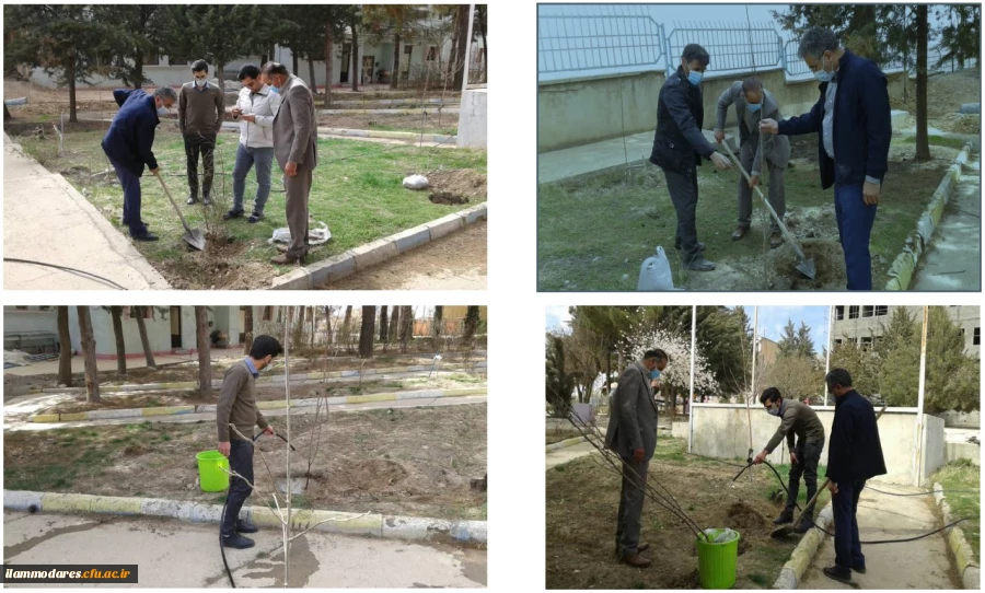 حضور اعضای کانون همیاران سلامت در روز درخت کاری و هفته منابع طبیعی 2