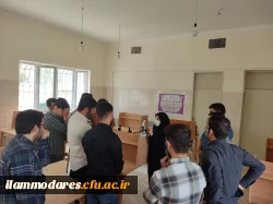 کارگاه آموزشی- تخصصی «روش های نوین تدریس علوم تجربی دوره ابتدایی » 10